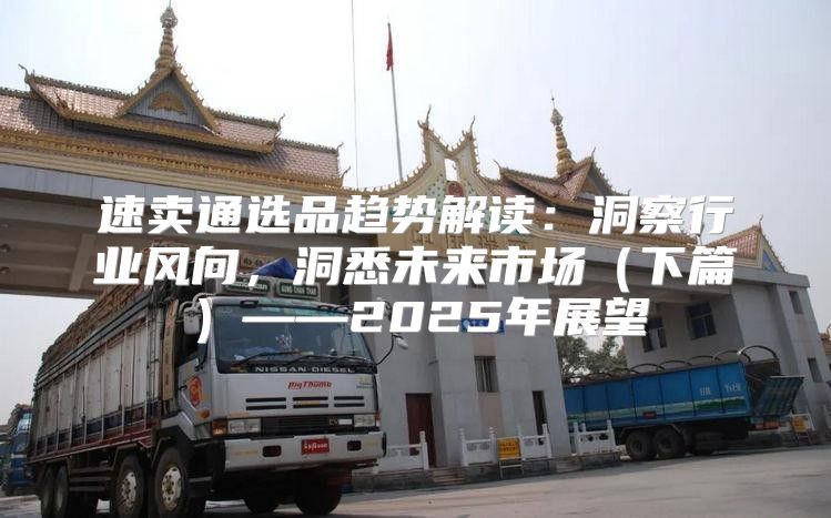 速卖通选品趋势解读：洞察行业风向，洞悉未来市场下篇——2025年展望