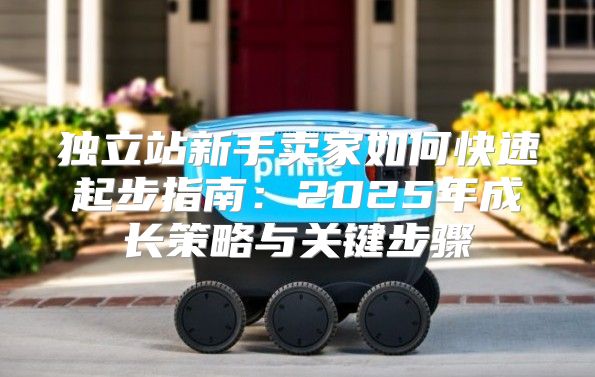 独立站新手卖家如何快速起步指南：2025年成长策略与关键步骤