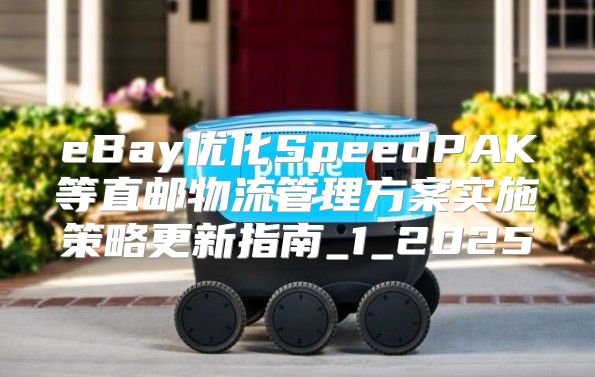 eBay优化SpeedPAK等直邮物流管理方案实施策略更新指南_1_2025