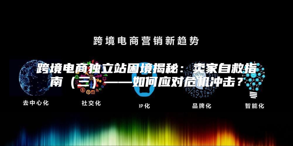 跨境电商独立站困境揭秘：卖家自救指南三——如何应对危机冲击？