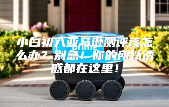 小白初入亚马逊测评该怎么办？别急！你的所以诱惑都在这里！
