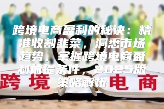 跨境电商盈利的秘诀：精准收割韭菜，洞悉市场趋势，掌握跨境电商盈利前提条件，2025版策略解析