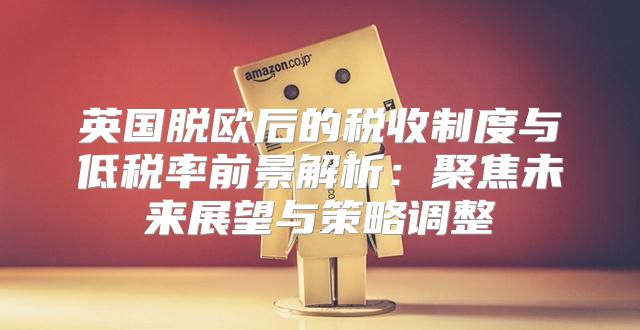 英国脱欧后的税收制度与低税率前景解析：聚焦未来展望与策略调整