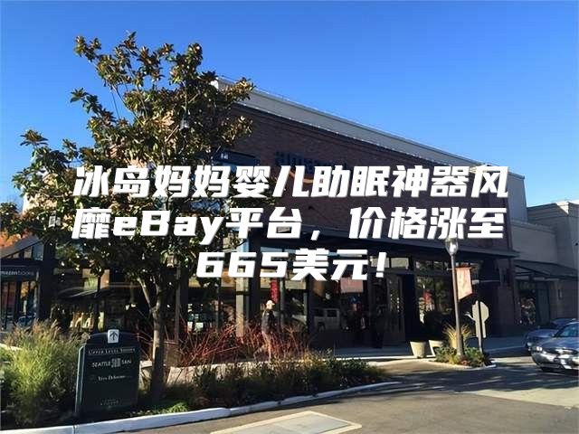 冰岛妈妈婴儿助眠神器风靡eBay平台，价格涨至665美元！