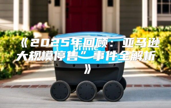 2025年回顾：亚马逊大规模停售”事件全解析