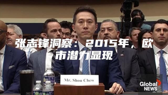 张志锋洞察：2015年，欧市潜力显现