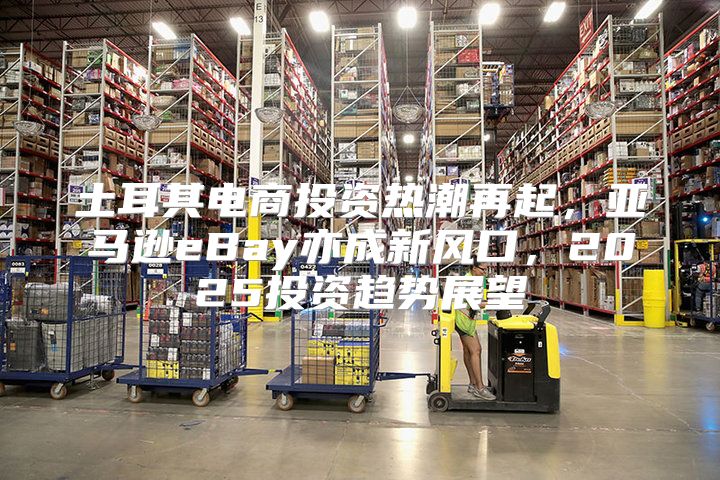 土耳其电商投资热潮再起，亚马逊eBay亦成新风口，2025投资趋势展望