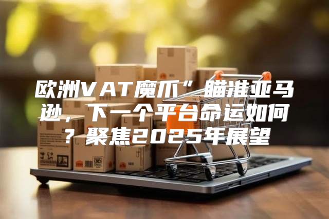 欧洲VAT魔爪”瞄准亚马逊，下一个平台命运如何？聚焦2025年展望