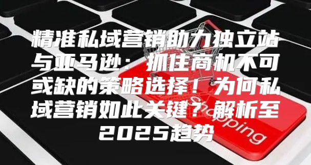 精准私域营销助力独立站与亚马逊：抓住商机不可或缺的策略选择！为何私域营销如此关键？解析至2025趋势