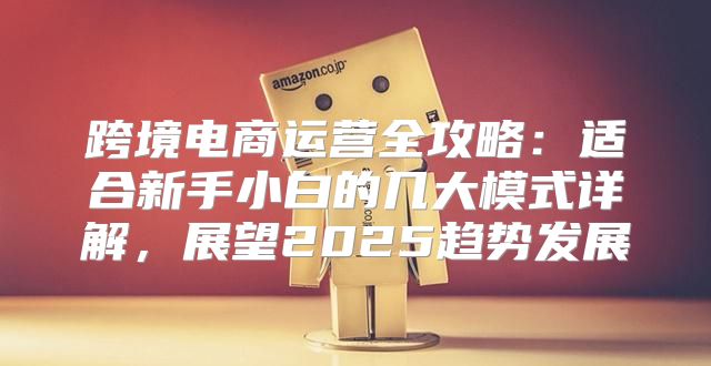 跨境电商运营全攻略：适合新手小白的几大模式详解，展望2025趋势发展