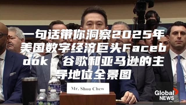 一句话带你洞察2025年美国数字经济巨头Facebook、谷歌和亚马逊的主导地位全景图