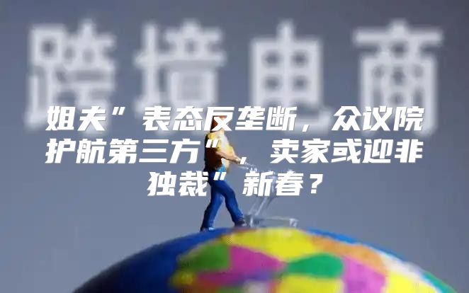 姐夫”表态反垄断，众议院护航第三方”，卖家或迎非独裁”新春？