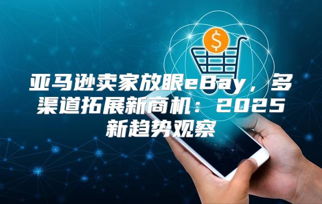 亚马逊卖家放眼eBay，多渠道拓展新商机：2025新趋势观察