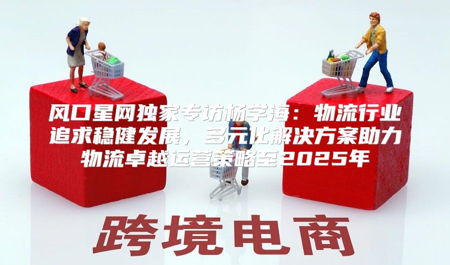 风口星网独家专访杨学海：物流行业追求稳健发展，多元化解决方案助力物流卓越运营策略至2025年
