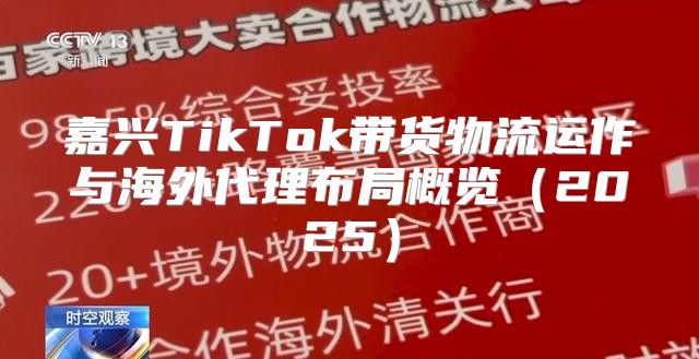 嘉兴TikTok带货物流运作与海外代理布局概览2025