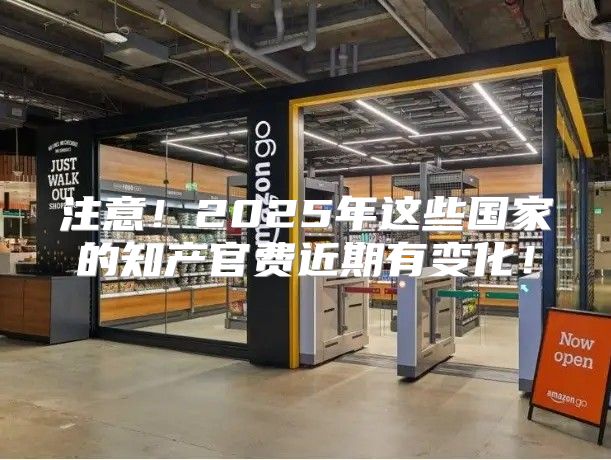 注意！2025年这些国家的知产官费近期有变化！