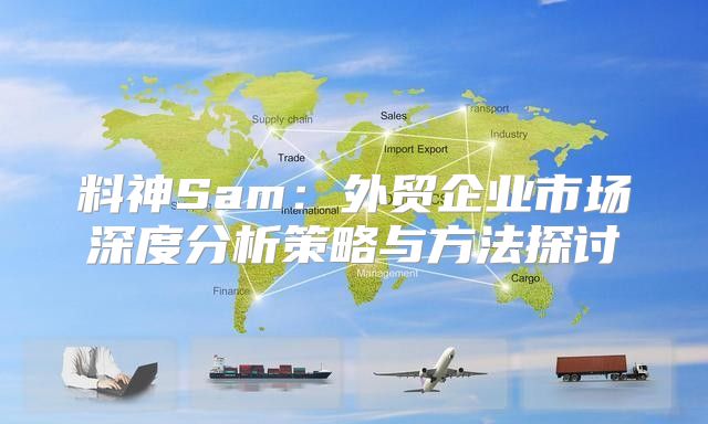 料神Sam：外贸企业市场深度分析策略与方法探讨
