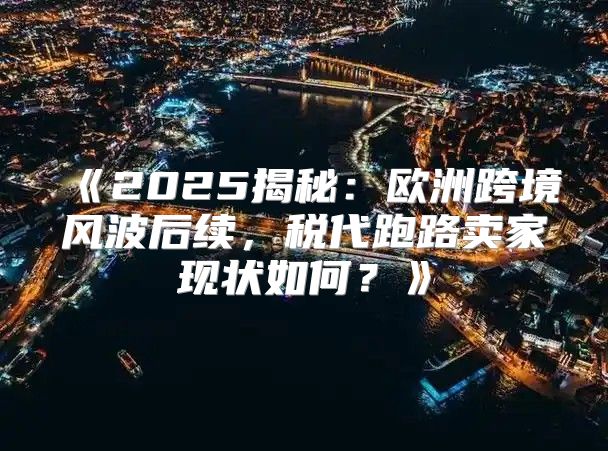 2025揭秘：欧洲跨境风波后续，税代跑路卖家现状如何？