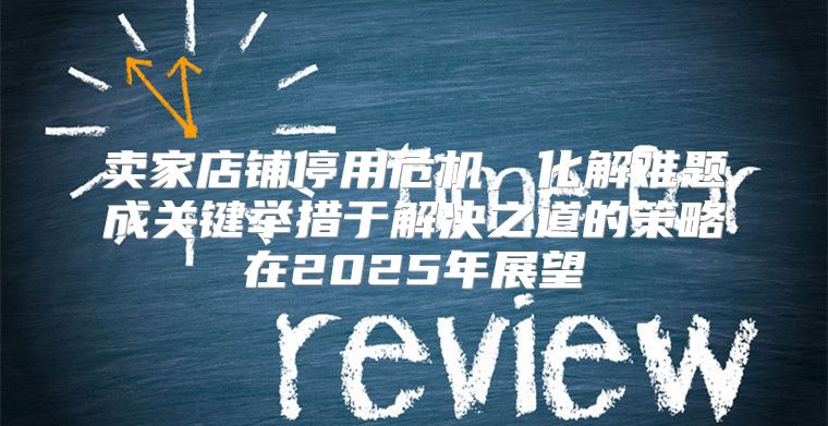 卖家店铺停用危机，化解难题成关键举措于解决之道的策略在2025年展望
