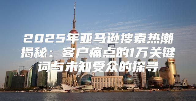 2025年亚马逊搜索热潮揭秘：客户痛点的1万关键词与未知受众的探寻