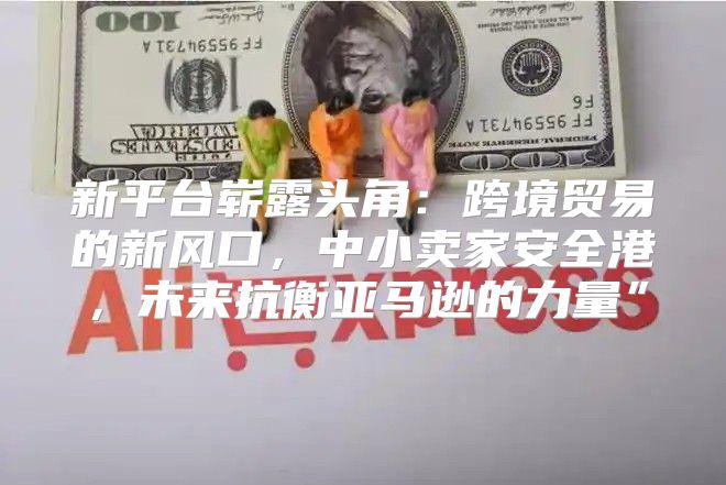 新平台崭露头角：跨境贸易的新风口，中小卖家安全港，未来抗衡亚马逊的力量”