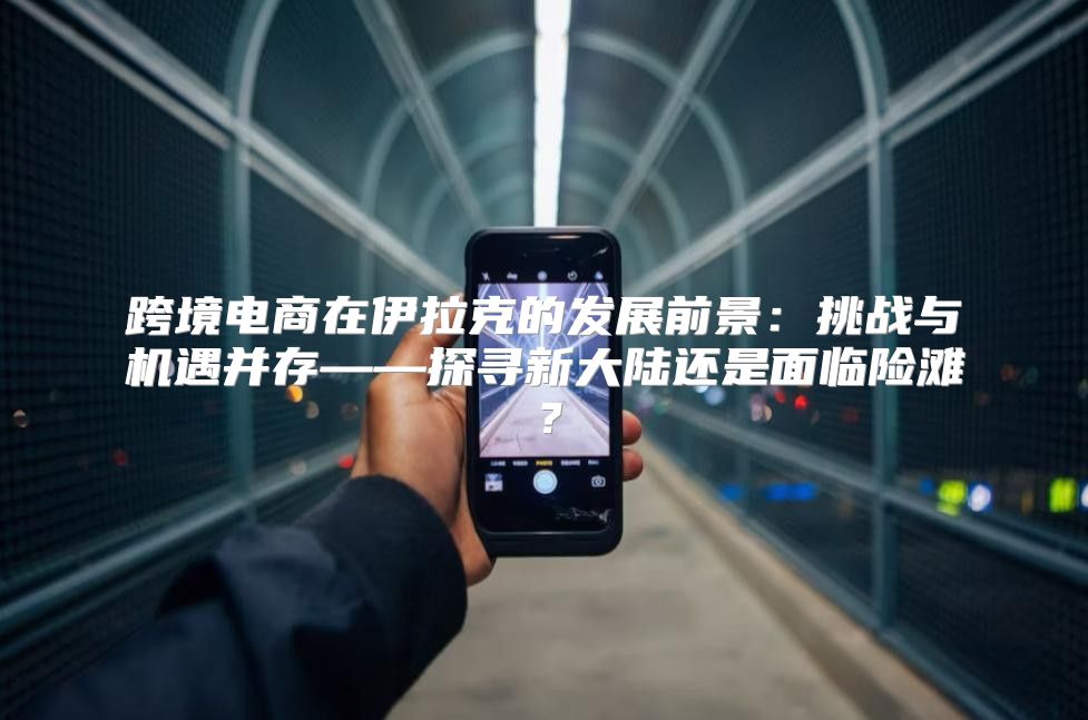 跨境电商在伊拉克的发展前景：挑战与机遇并存——探寻新大陆还是面临险滩？