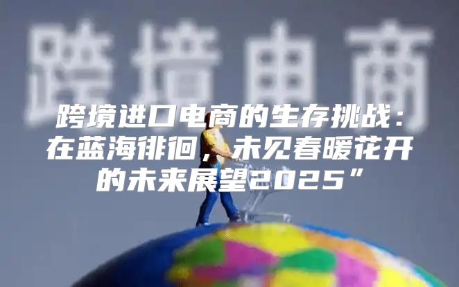 跨境进口电商的生存挑战：在蓝海徘徊，未见春暖花开的未来展望2025”