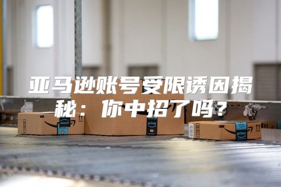 亚马逊账号受限诱因揭秘：你中招了吗？