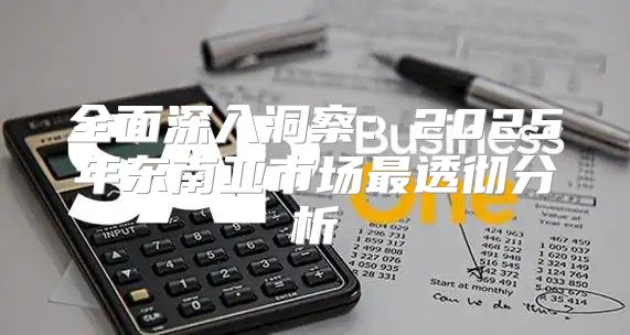 全面深入洞察：2025年东南亚市场最透彻分析
