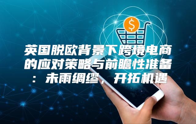 英国脱欧背景下跨境电商的应对策略与前瞻性准备：未雨绸缪，开拓机遇