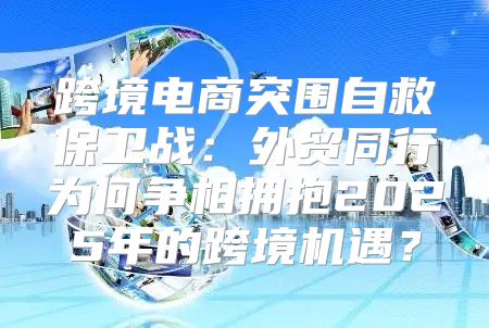 跨境电商突围自救保卫战：外贸同行为何争相拥抱2025年的跨境机遇？