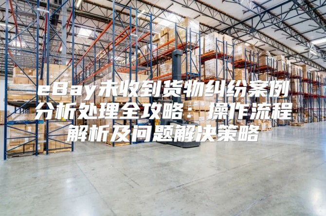 eBay未收到货物纠纷案例分析处理全攻略：操作流程解析及问题解决策略
