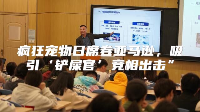 疯狂宠物日席卷亚马逊，吸引‘铲屎官’竞相出击”