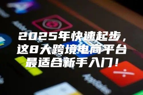 2025年快速起步，这8大跨境电商平台最适合新手入门！