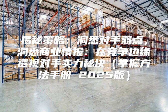 揭秘策略：洞悉对手弱点，洞悉商业情报：在竞争边缘透视对手实力秘诀掌握方法手册 2025版