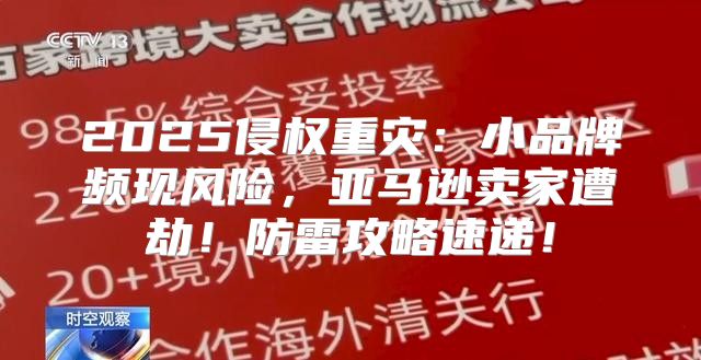 2025侵权重灾：小品牌频现风险，亚马逊卖家遭劫！防雷攻略速递！