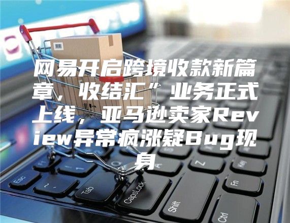 网易开启跨境收款新篇章，收结汇”业务正式上线，亚马逊卖家Review异常疯涨疑Bug现身