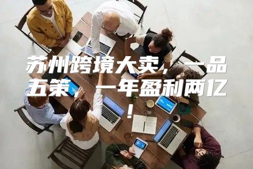 苏州跨境大卖，一品五策，一年盈利两亿！