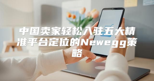 中国卖家轻松入驻五大精准平台定位的Newegg策略