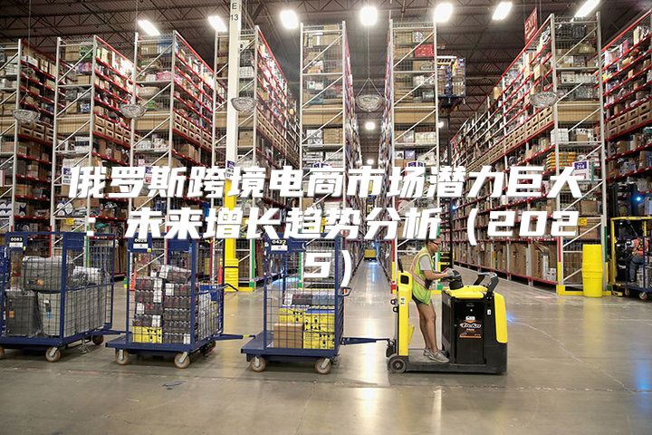 俄罗斯跨境电商市场潜力巨大：未来增长趋势分析2025