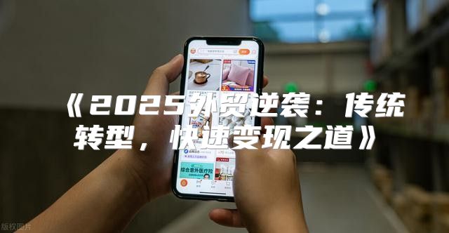 2025外贸逆袭：传统转型，快速变现之道
