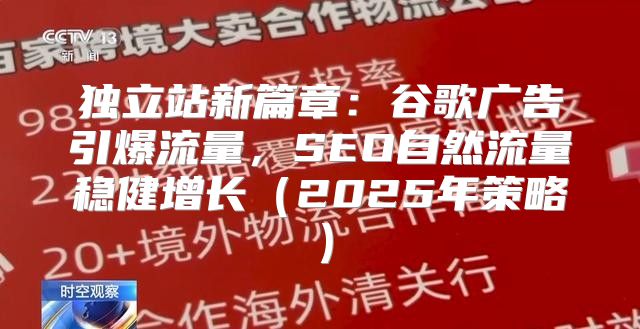 独立站新篇章：谷歌广告引爆流量，SEO自然流量稳健增长2025年策略