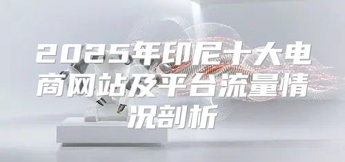 2025年印尼十大电商网站及平台流量情况剖析