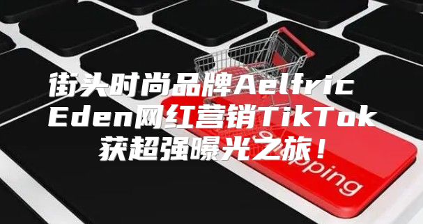 街头时尚品牌Aelfric Eden网红营销TikTok获超强曝光之旅！