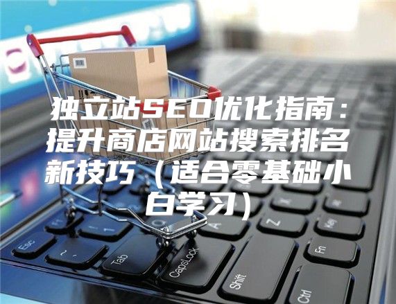 独立站SEO优化指南：提升商店网站搜索排名新技巧适合零基础小白学习