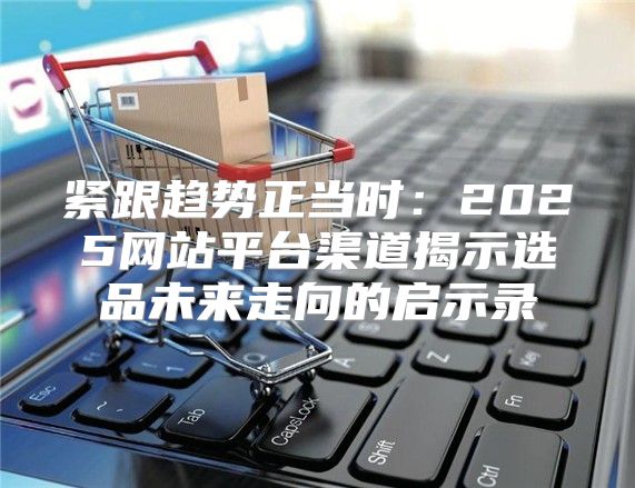 紧跟趋势正当时：2025网站平台渠道揭示选品未来走向的启示录