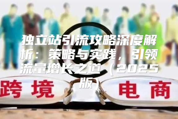 独立站引流攻略深度解析：策略与实践，引领流量增长之道2025版