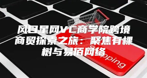 风口星网VC商学院跨境商贸探索之旅：聚焦有棵树与易佰网络