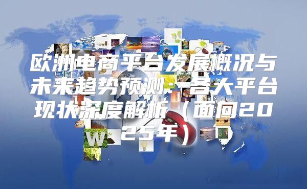 欧洲电商平台发展概况与未来趋势预测：各大平台现状深度解析面向2025年