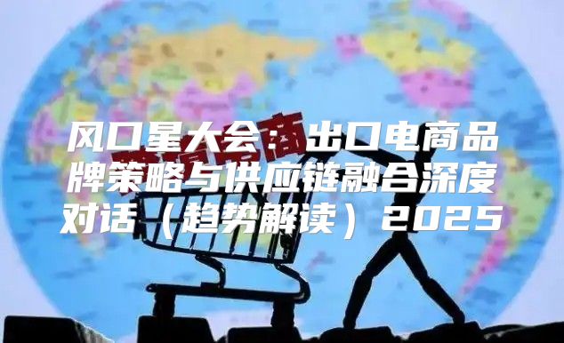 风口星大会：出口电商品牌策略与供应链融合深度对话趋势解读2025